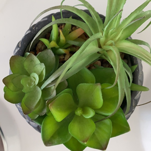 Fake plant - Picture 2 of 3